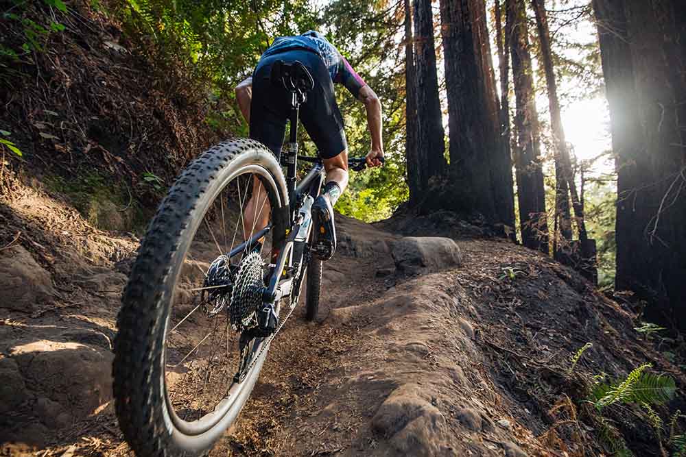 Gear Up for Summer Mountain Biking! Our Top 10 List of Summer Must-Haves