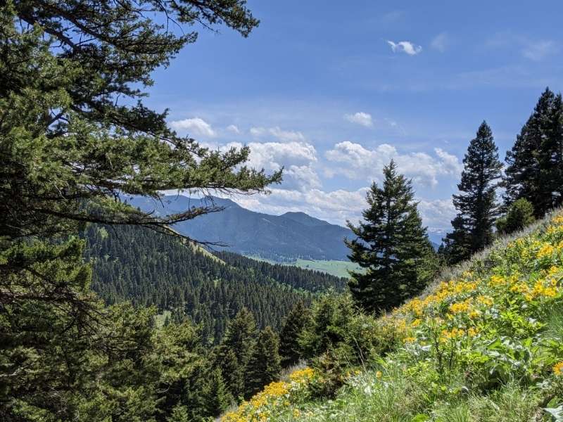 View on Corbly Gulch Trail in Bozeman