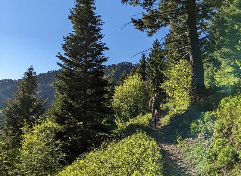 mountain biker riding leverich trail in bozeman montana