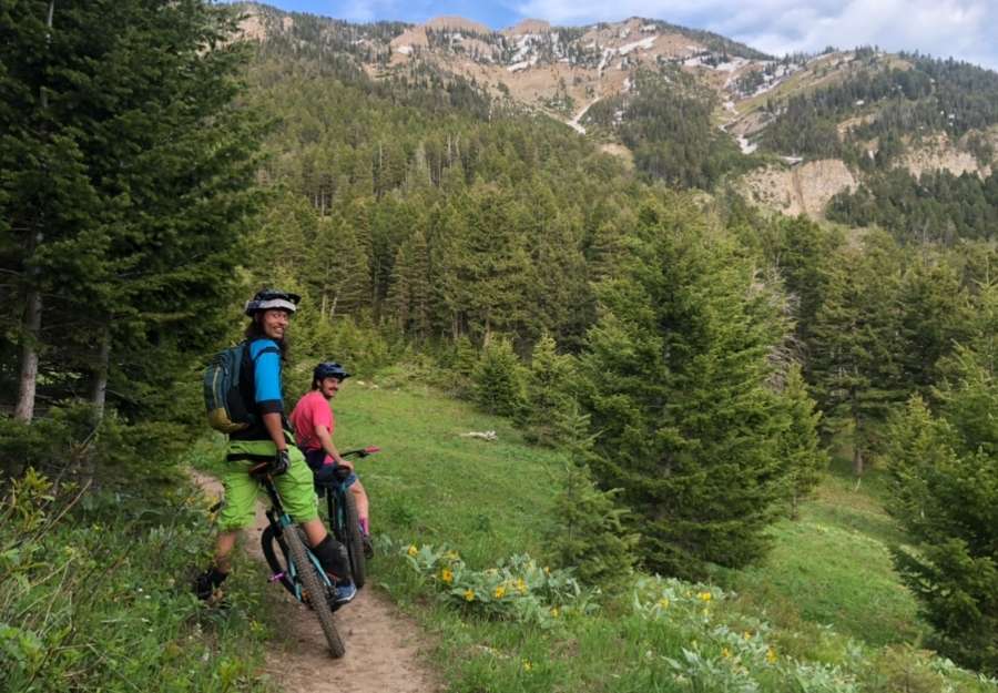 The Top 5 Bozeman Trails for Intermediate Mountain Bikers