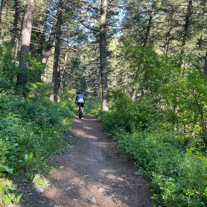 Truman Gulch trail in Bozeman, Montana with a mountain biker.
