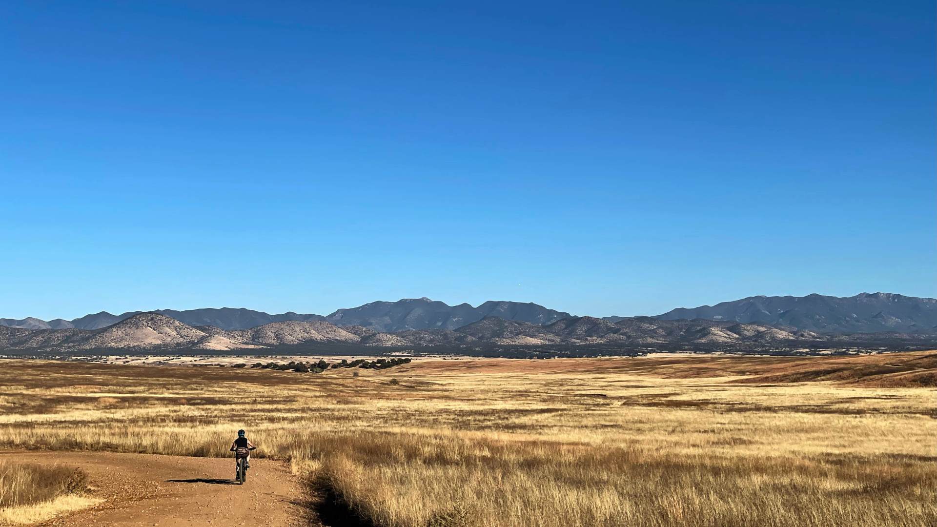 mountain biker in patagoina, az. blue sky golden fields. mountain/hills on horizon