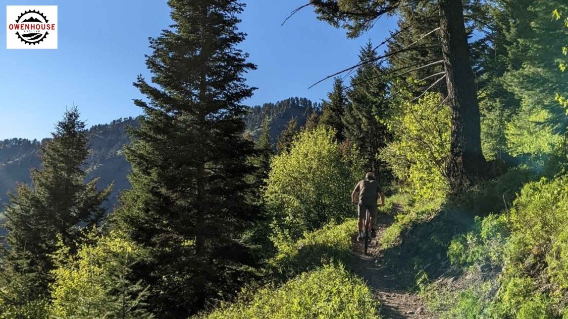 Bozeman, Montana mountain bike trail