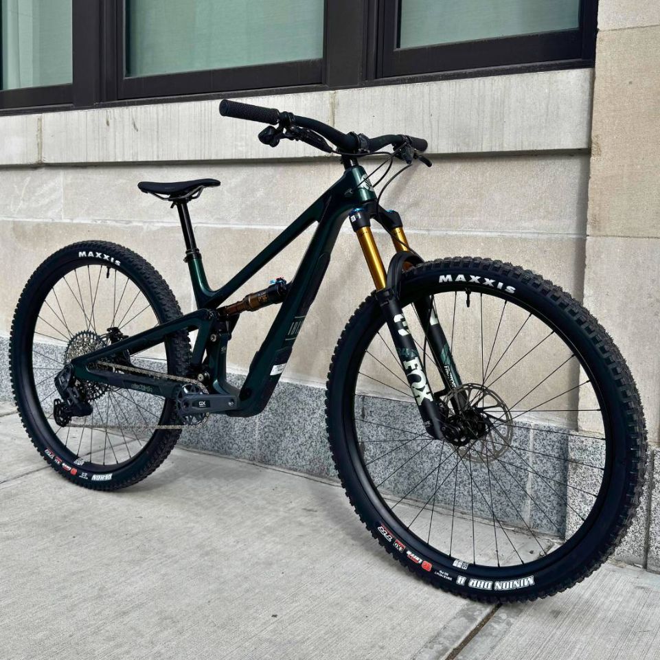 ibis ripley