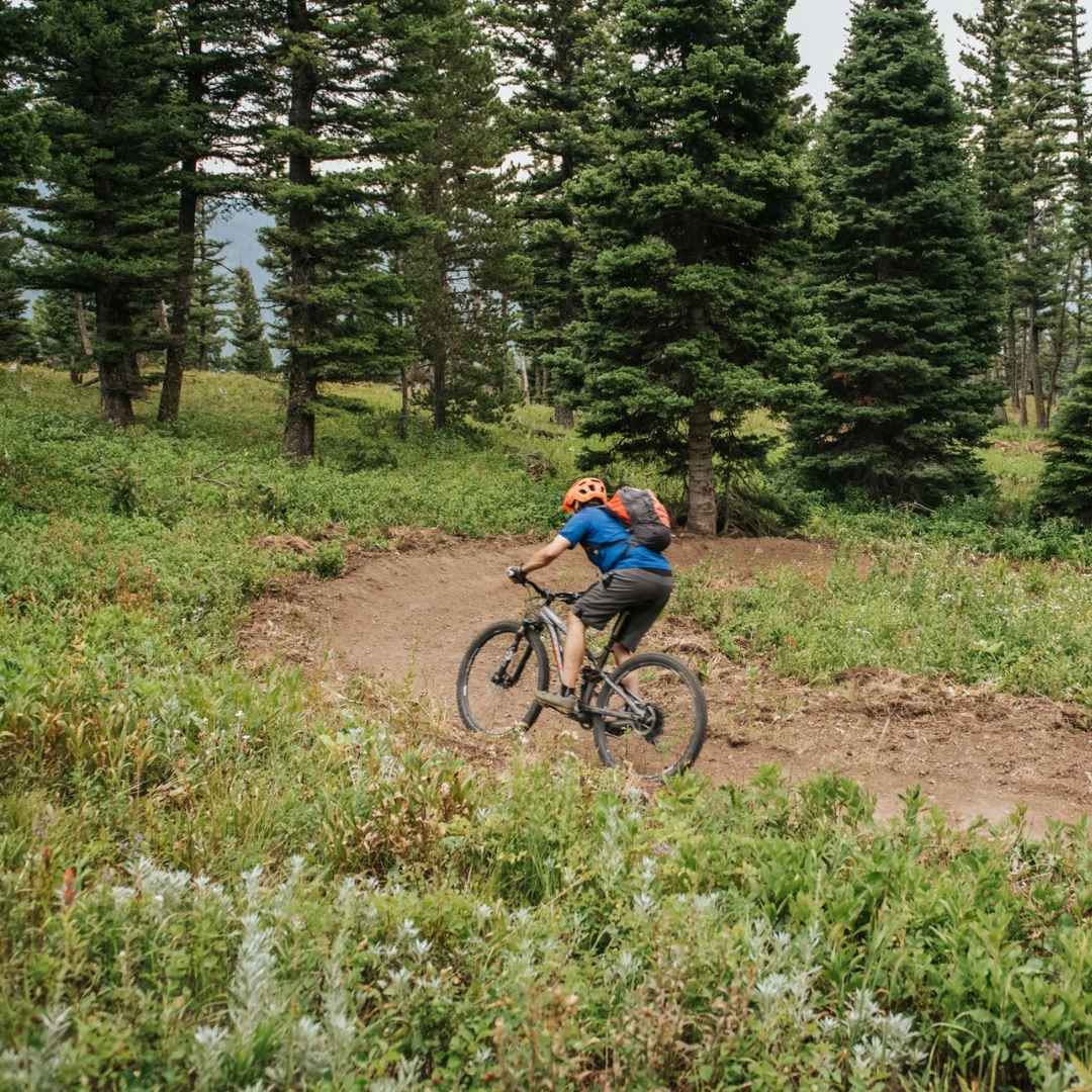 2 (22) (1) man riding down Bozeeman mountain bike trail surrounded by trees