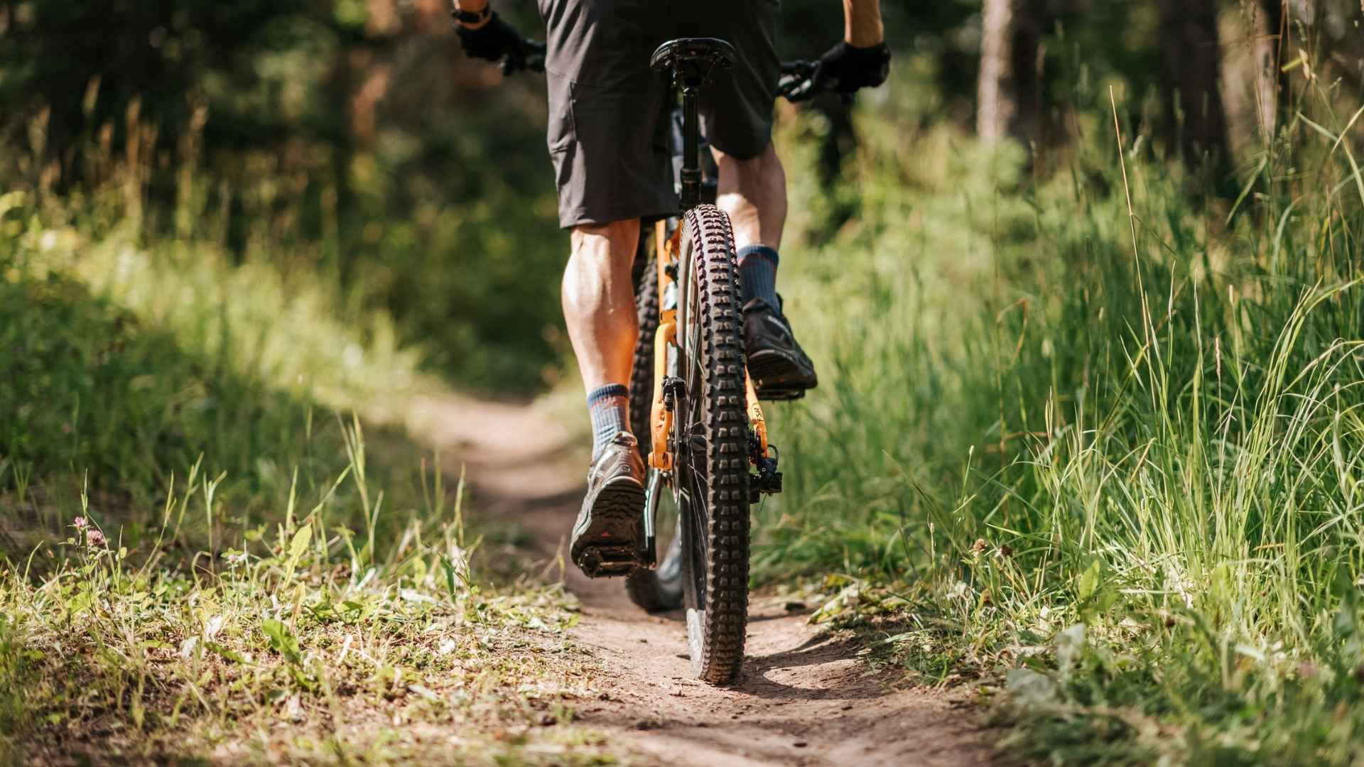 Gear up (1) close up shot of back of mountain bike