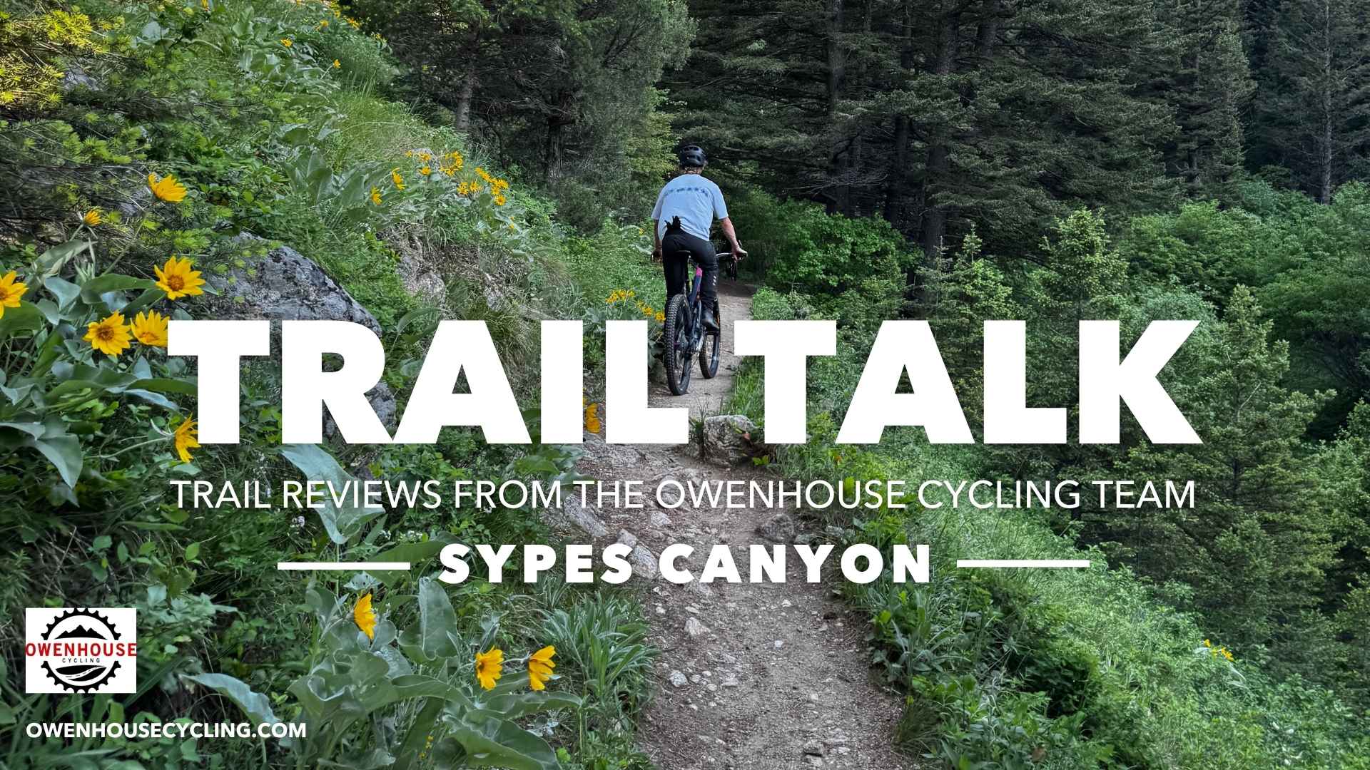 trail talk sypes canyon mountain biker on sypes trail green plants yellow flowers in foreground
