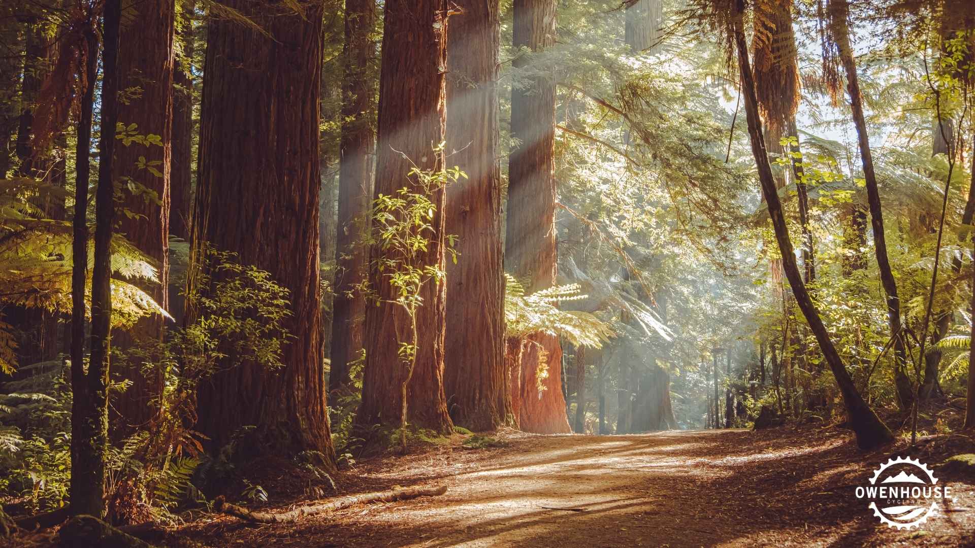 NorCal northern california trails