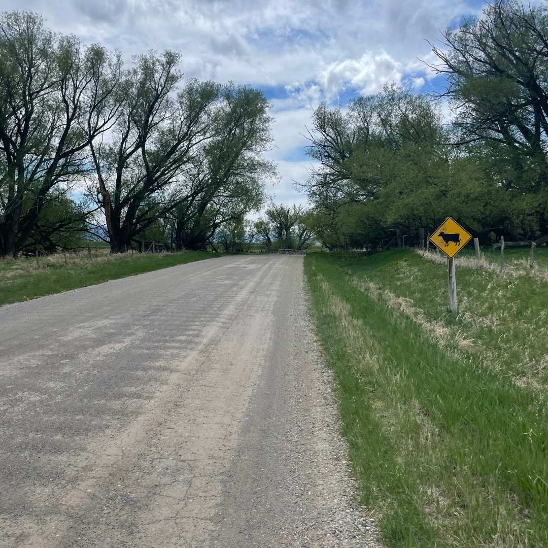 gravel route with a crow crossing sign