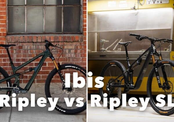 Ibis ripley vs ripley sl