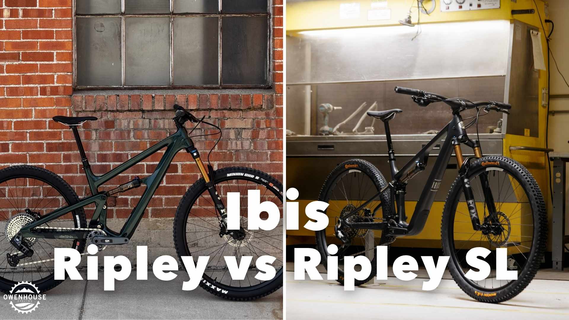 Ibis ripley vs ripley sl