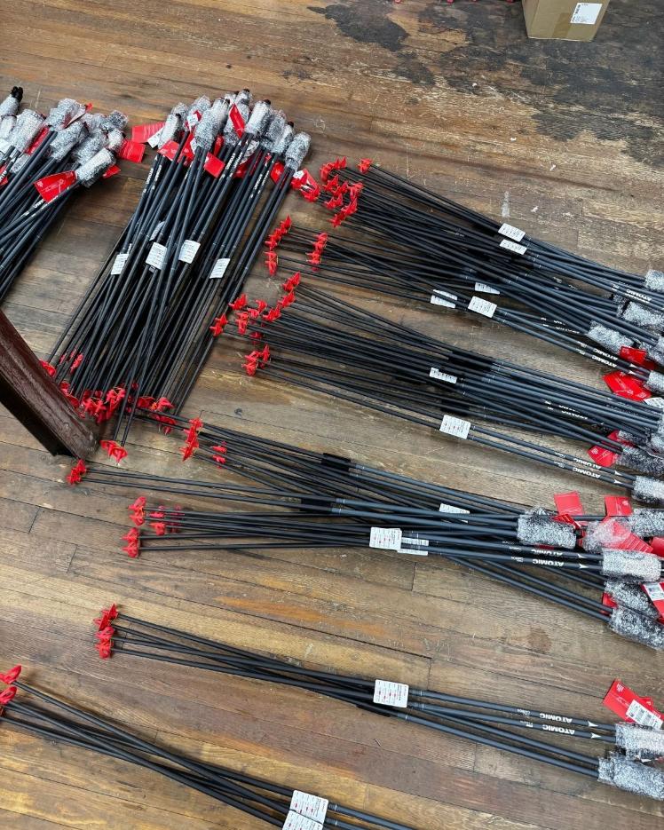 atomic ski poles